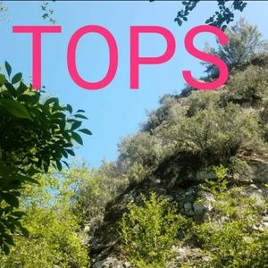 Tops, blouses, ect...